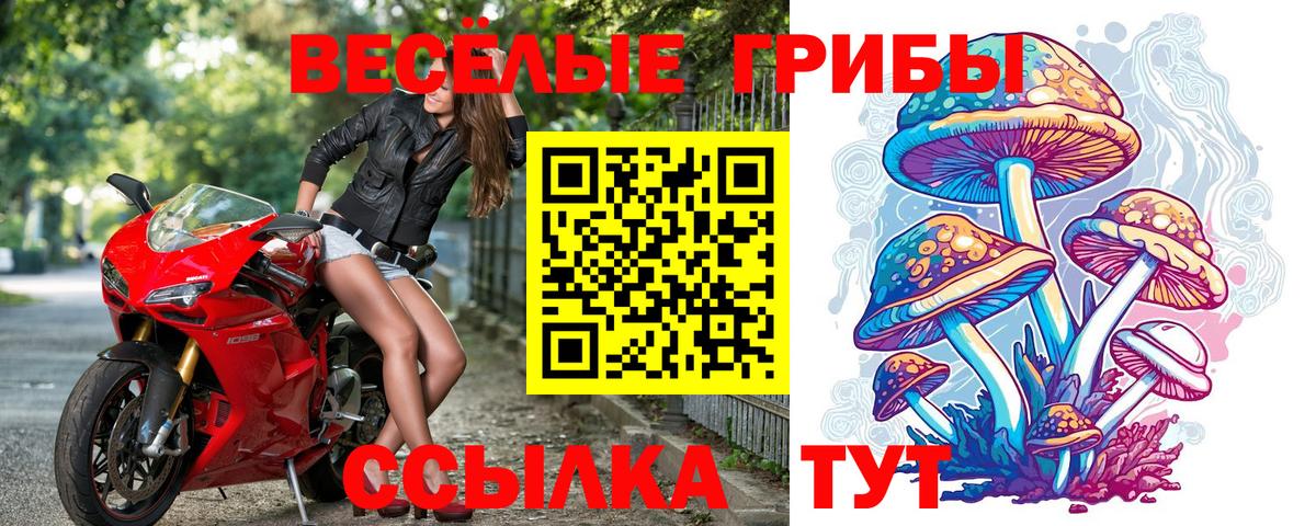 Псилоцибиновые грибы Psilocybe  Вход с VPN  Псилоцибиновые грибы MAGIC MUSHROOMS  Воткинск 